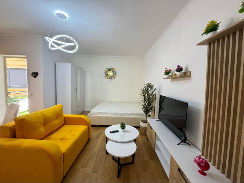 Newly furnished studio with a balcony near the sea. - 2
